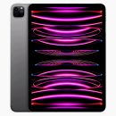 iPad Pro 12.9 (2022) Space Grey